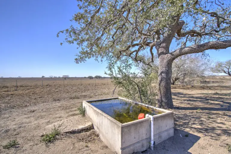 49_77d7507b-4623-4b97-b47f-ecf56893d750