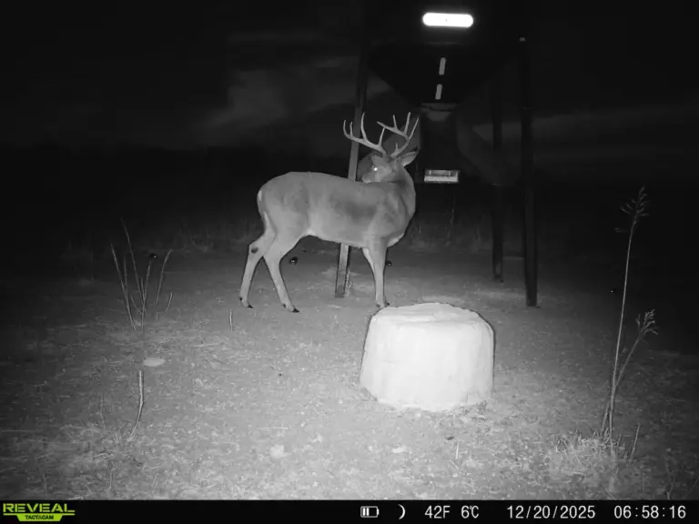 50_1ceda2de-add7-4b56-92b1-f652c7ef9147