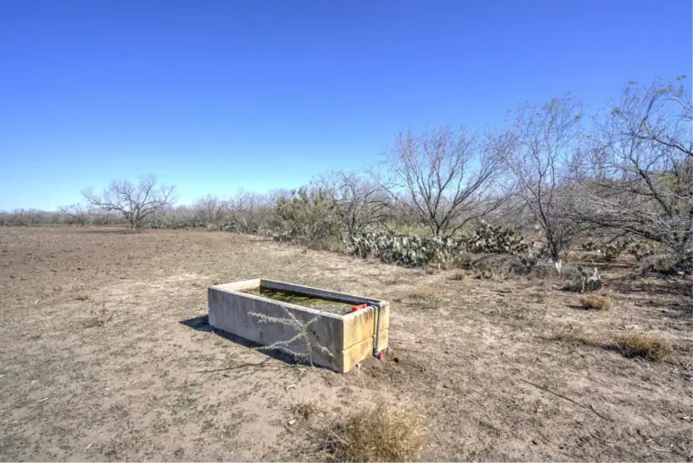 50_2306b83b-2adc-406b-9b6a-12f27ce1ad43