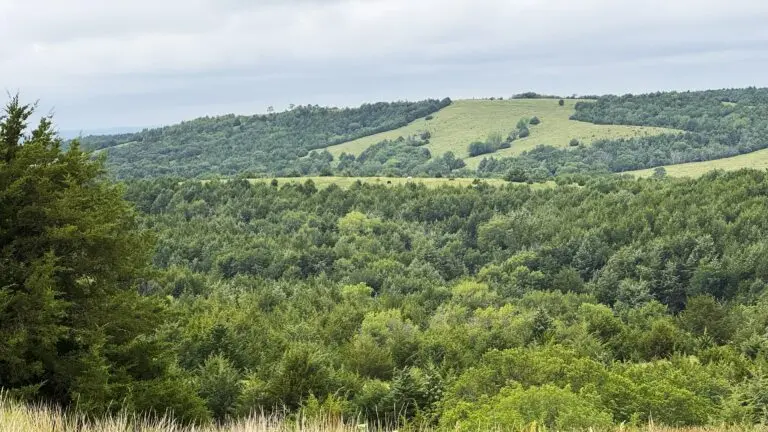 02_07c73f6e-31cd-4a02-8787-d086471b545b