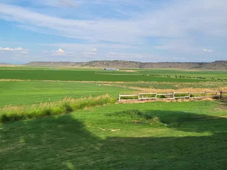 02_25033f50-12b2-4461-b75d-ead71529cf32