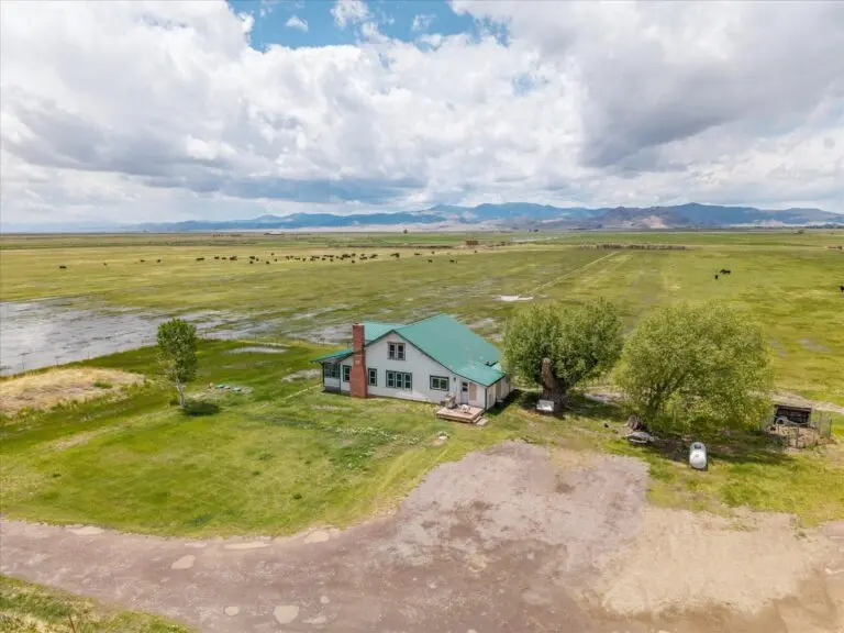 Colorado Cattle Ranch for Sale