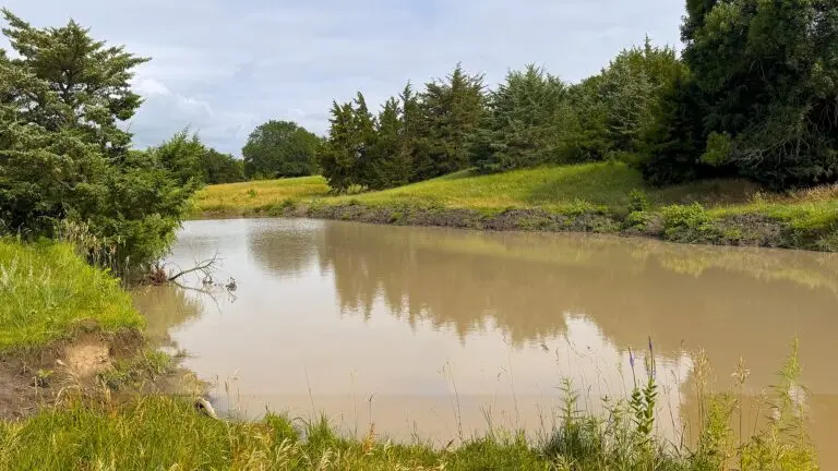 03_78bcbc9b-d9a4-48b3-bcfd-7a240951bd0e