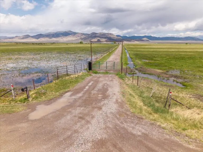 Colorado Cattle Ranch for Sale