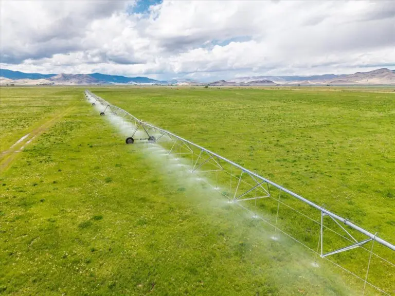 Colorado Cattle Ranch for Sale