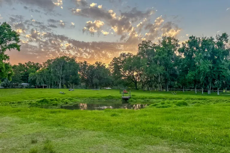 16242 NW 130th St, Williston, FL 32696