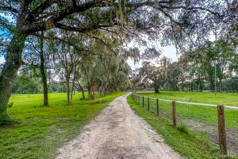 16242 NW 130th St, Williston, FL 32696