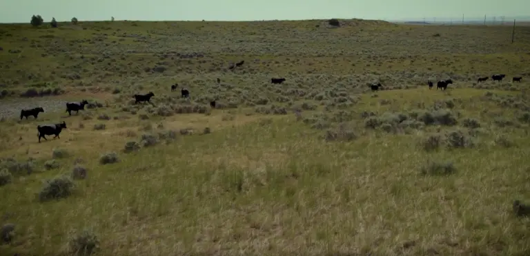 05_0b705808-7056-4ef6-90b3-3333797ac742