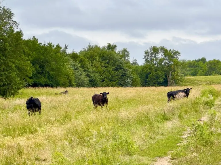 05_0b80c68a-1573-411b-bac2-01d55226e1b3