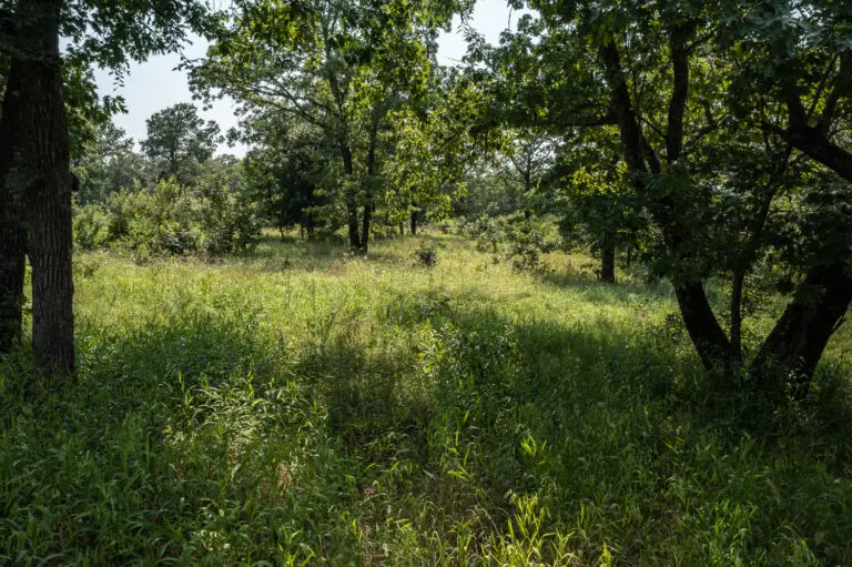 05_bc602224-389d-4574-86c8-3c07f791ade6