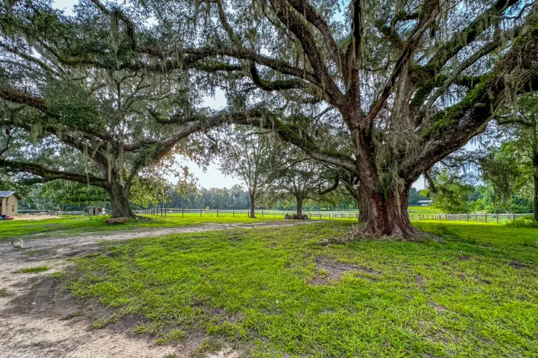 16242 NW 130th St, Williston, FL 32696