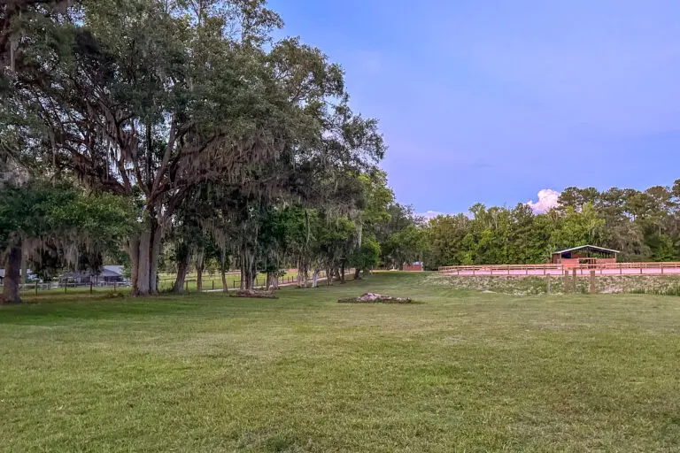 16242 NW 130th St, Williston, FL 32696