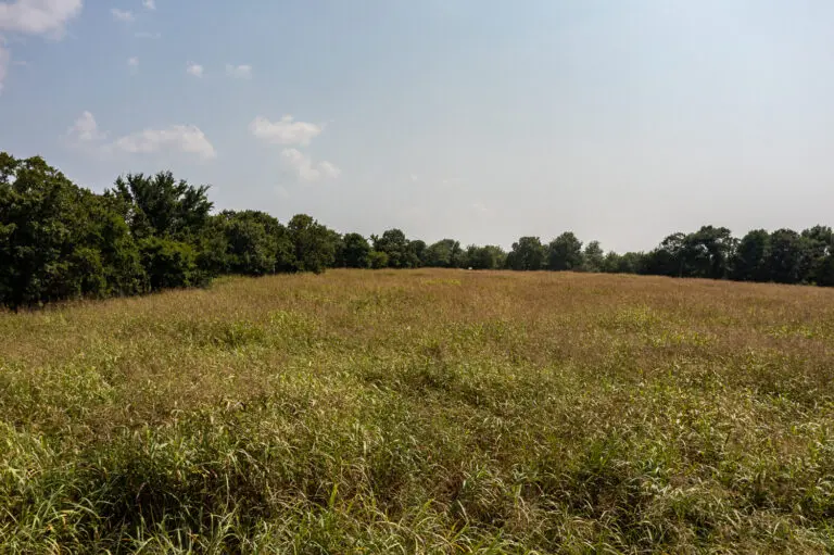 06_c4faf5e8-8012-4efe-9ed4-1b4b5c4fa753