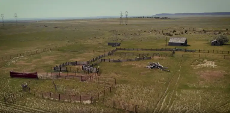 06_cbcd49f6-8c55-4840-bfa4-1af75a9dc977