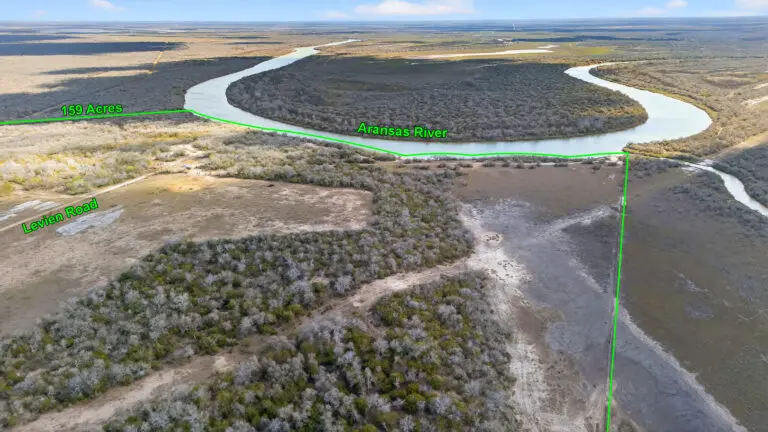 07_38adc523-7b4a-47a8-8c11-2c0db377dc42