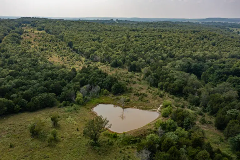 07_3a25a0f2-a389-4bc2-a5ee-ddfe423ee725