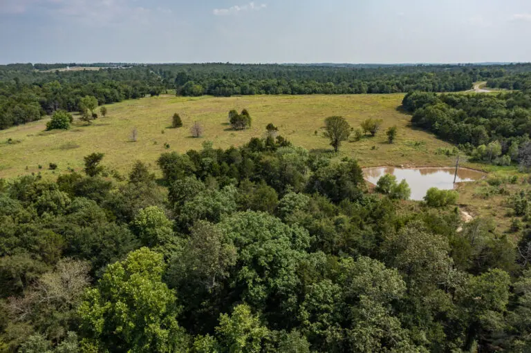 08_315e53ad-c3c5-4cb1-9870-314a50d1a7ff