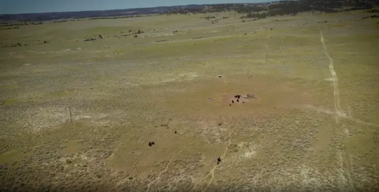 08_356df31d-7d32-42be-a928-d428b5327d02