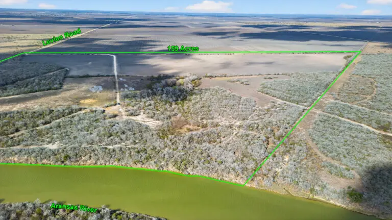 08_368128ca-f53a-4027-9803-b0b76aec9dd5