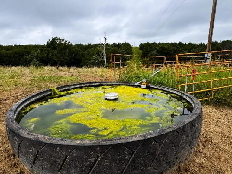 08_5ec977b1-7c92-4c67-bf98-852a1c9d2a3a