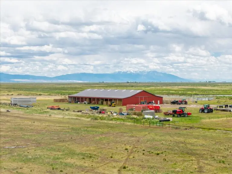 Colorado Cattle Ranch for Sale