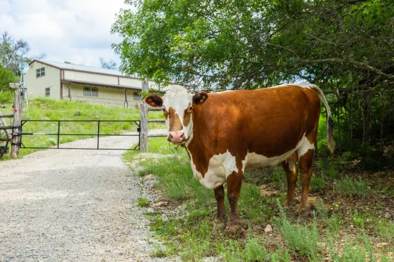 08_ad583473-82ba-411c-907d-2df8c61a20e1