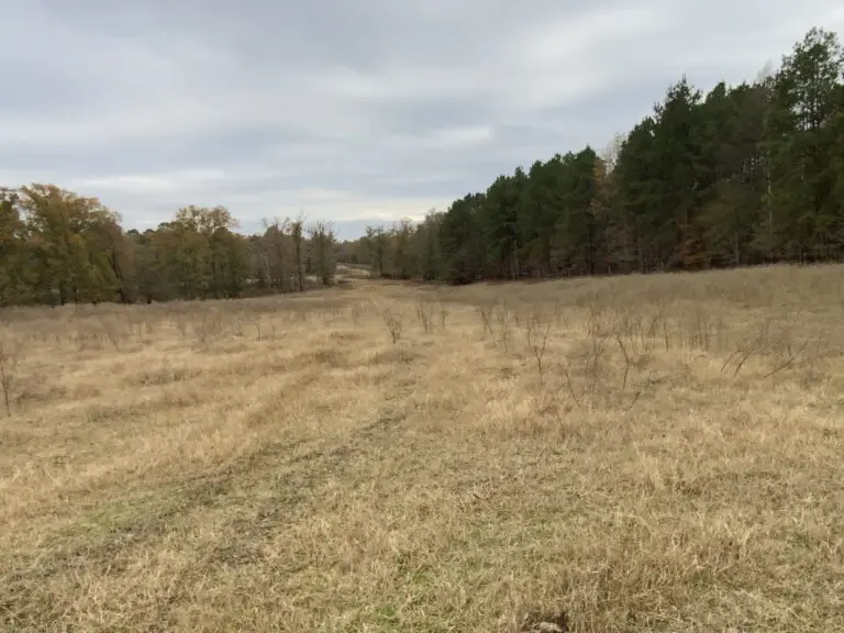 08_e376e16c-de1b-4b78-9ef8-f0c92798a762