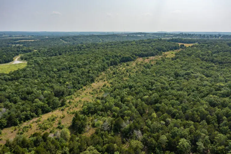 09_1721de74-1e78-4312-9ff4-661e49343668