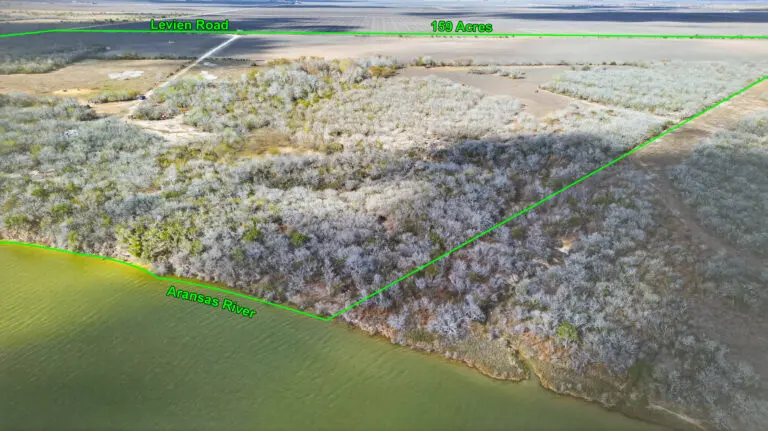 09_55117f3a-c118-4122-836c-6a8b3410cc8a