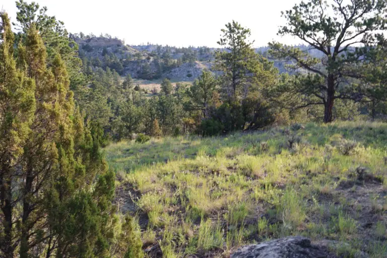 09_689023a3-9b20-44b1-8c2d-7881e2395e72