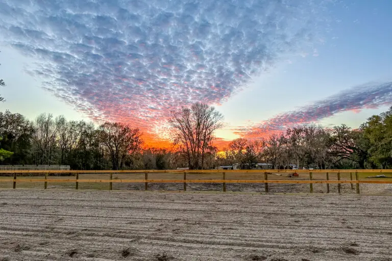 16242 NW 130th St, Williston, FL 32696