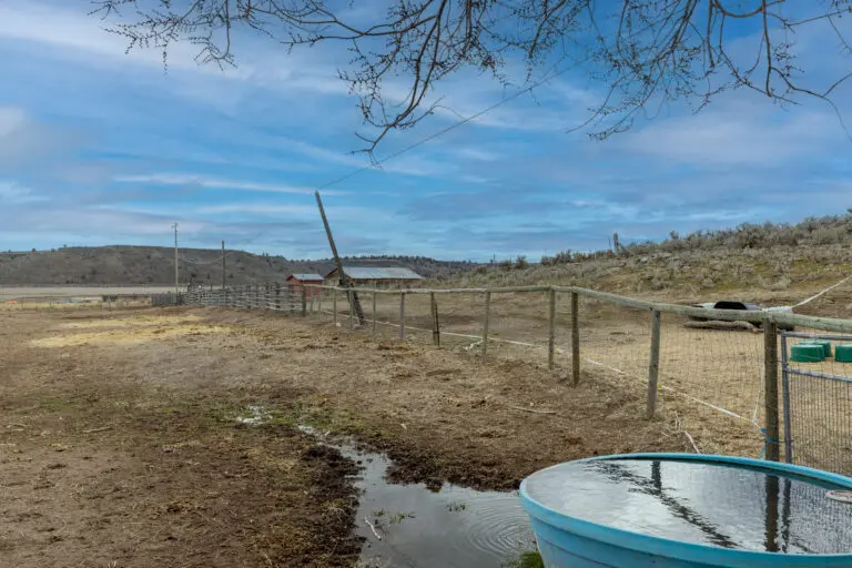 10_271db9a1-af5d-495a-adea-7bda35472723