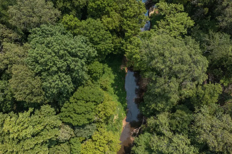 10_aea16315-66f1-4c5c-8ac3-a1d89b27344d