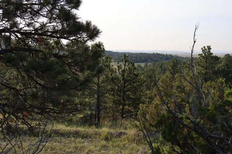 10_bf43ed37-0b37-4b38-86bf-e02167d82b6f