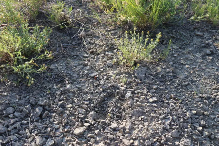 11_32e87562-a0c4-4e73-a3b2-ef265065e74d