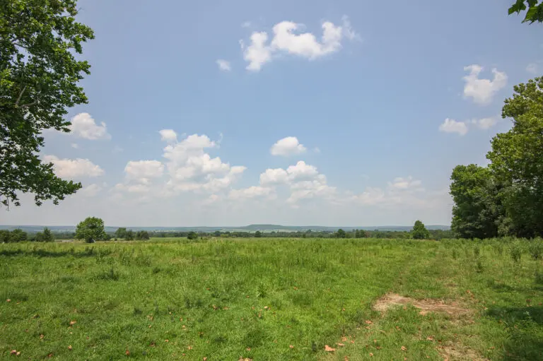 11_367d2d65-9319-4cc0-96e4-dda039b2797b