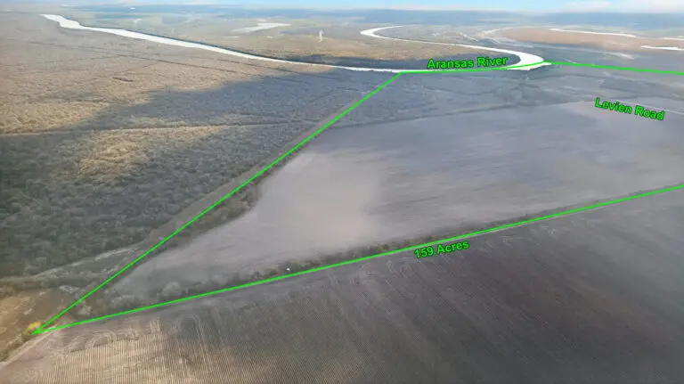 12_46e05a1b-8afb-4d27-83b4-d71111390f55