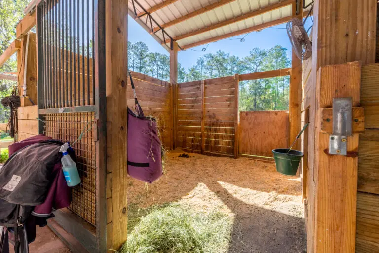 16242 NW 130th St, Williston, FL 32696