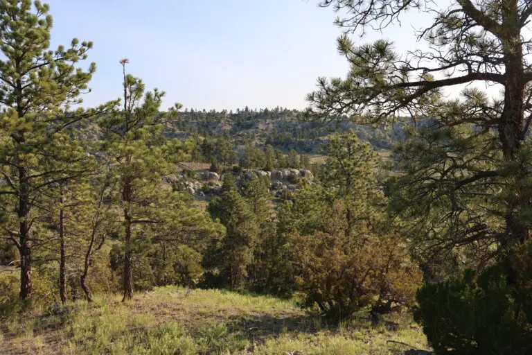 12_ee85ea84-0b74-4863-bcdf-09a430b19eae