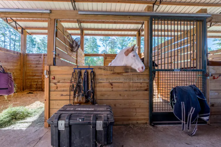 16242 NW 130th St, Williston, FL 32696