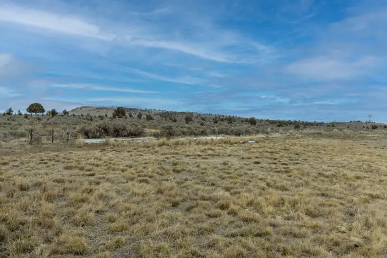 13_94278ea9-4242-4dd3-980e-9eeae6a2a844