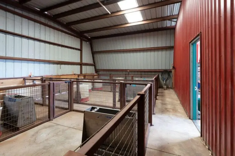 13_c0227254-94aa-4ffa-8c90-bd3e4757e3d4