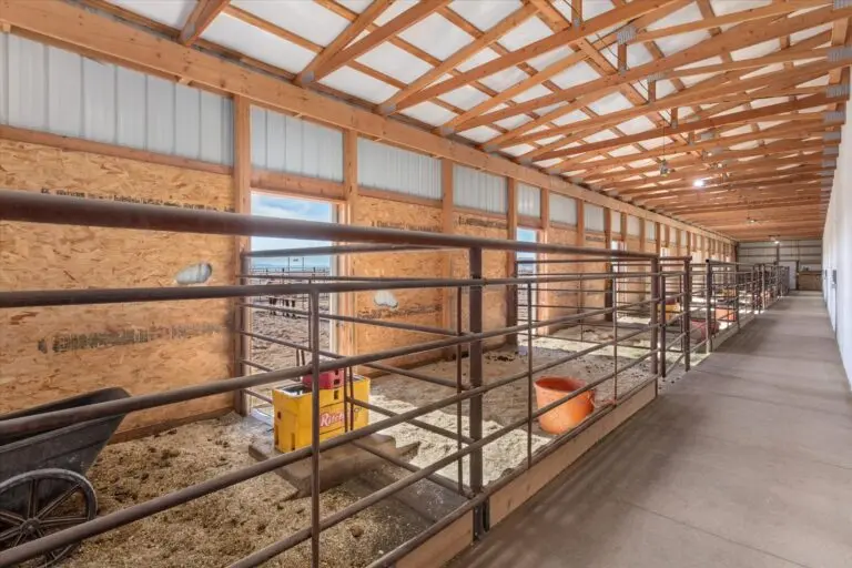 Colorado Cattle Ranch for Sale