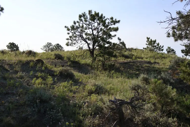 13_e124018a-9ca4-4fab-b09b-747c6403b2a4