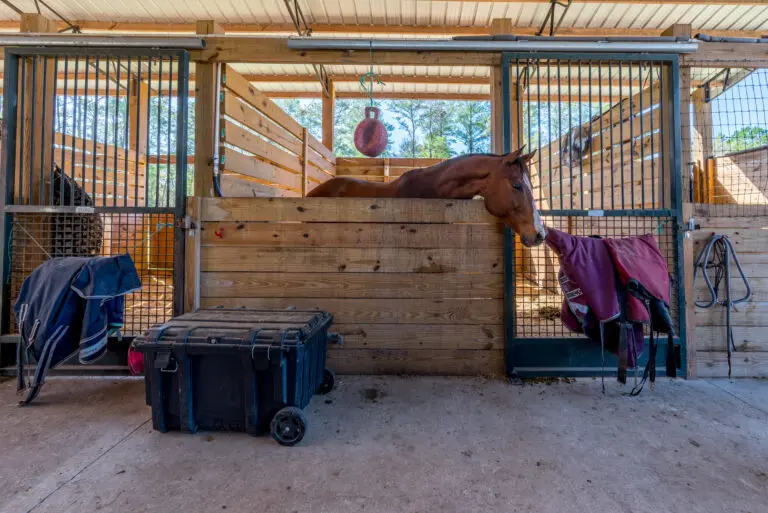 16242 NW 130th St, Williston, FL 32696