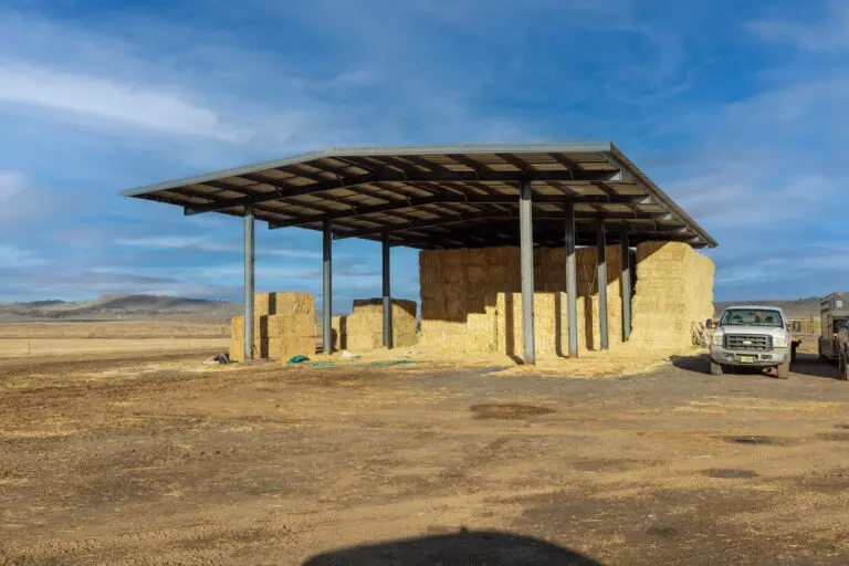 14_82de0c43-0570-4fb0-b020-76018e75c4c3