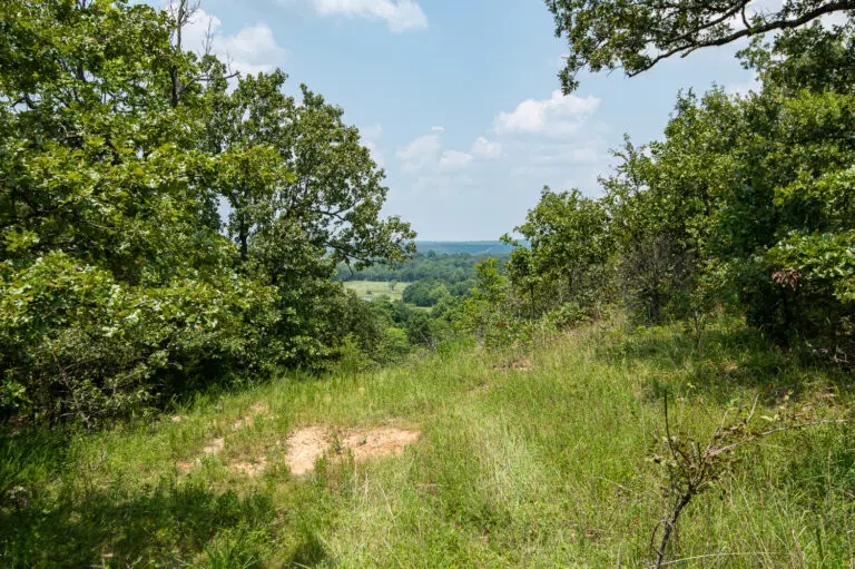 14_e71e5ff0-73b9-48a8-97ce-0f9538e97dcb