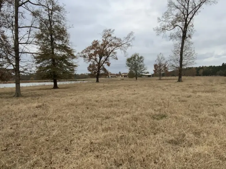 15_5484e517-0008-4c8e-b898-9c9a44b97e10