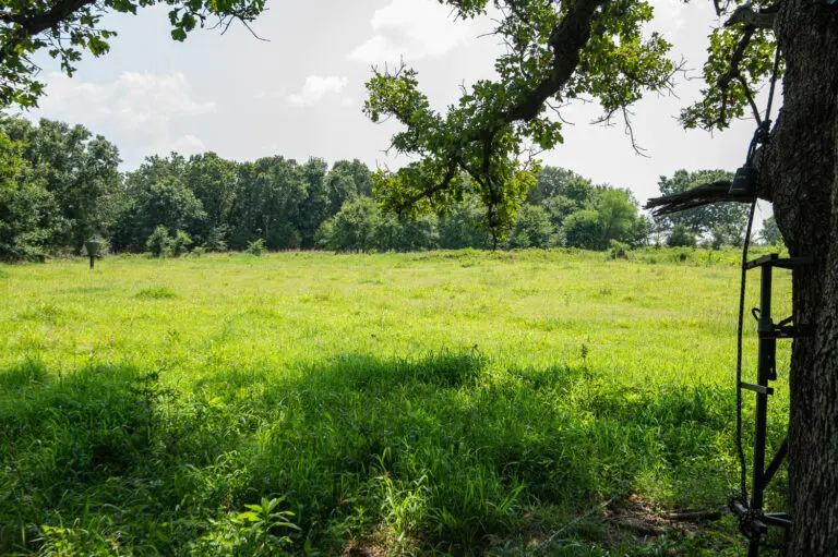 15_7183f623-d37d-42c2-bded-459ef56d9155