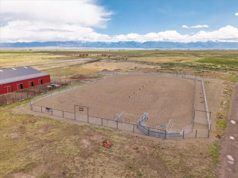 Colorado Cattle Ranch for Sale